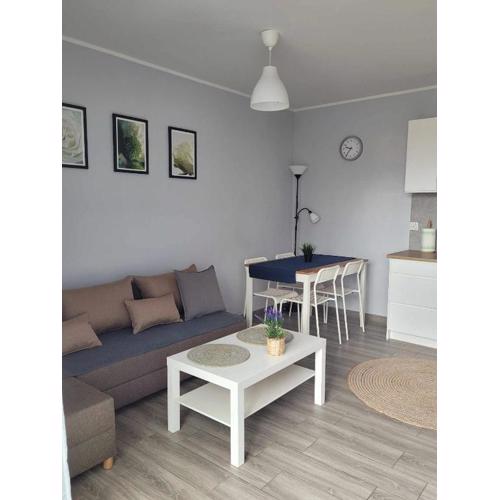 Apartament Wałowa 4