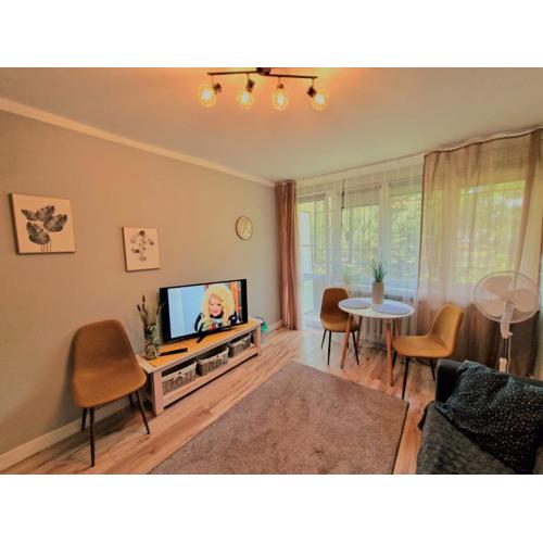 Apartament Wapienna