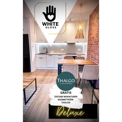 Apartament WHITE GLOVE deluxe Kopernik