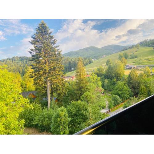 Apartament Widoknastok