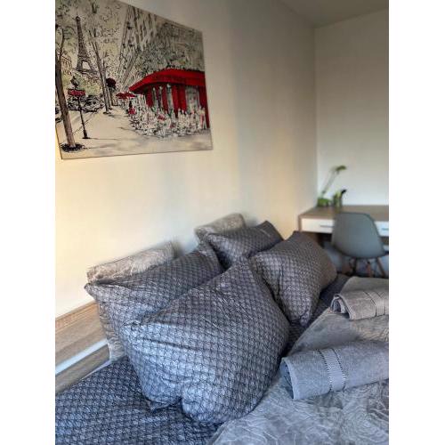 Apartament Wieluńska
