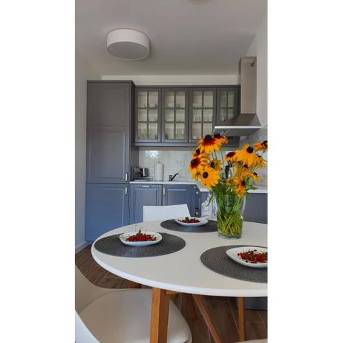 APARTAMENT WILKASY II (k. Giżycka )