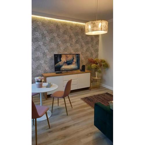 Apartament Wilkońskiego