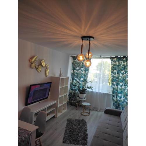 Apartament Wiola