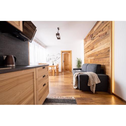 Apartament Witów