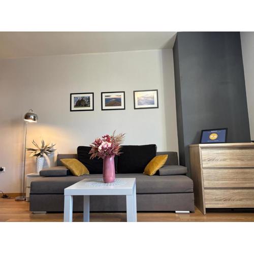 Apartament Wygodny