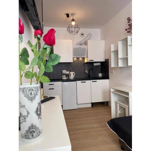 Apartament Wypoczynek Nowoczesna Malta Parking GoldAir