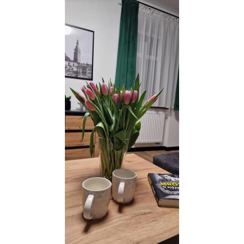 Apartament z duszą