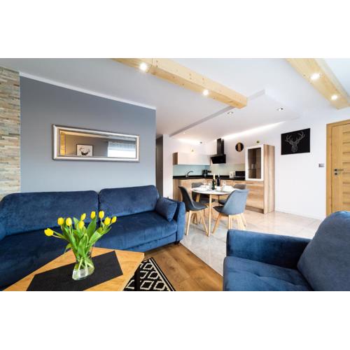 Apartament z garażem \