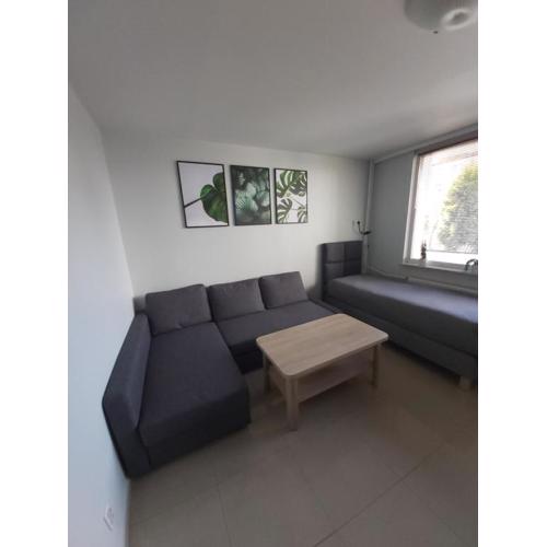 Apartament z ogrodem Tychy