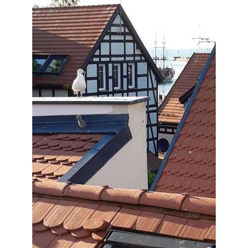 Apartament z widokiem na morze !