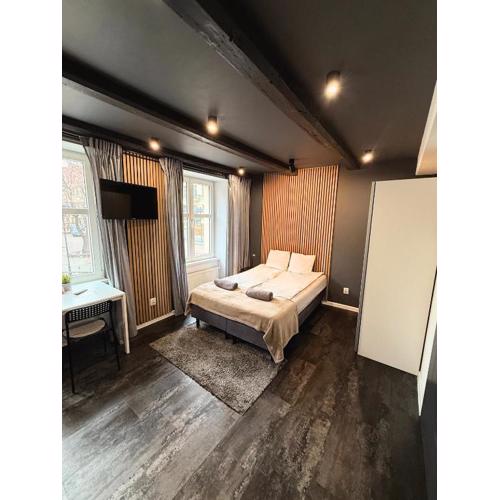 Apartament z widokiem na pomnik Kopernika - Rynek Staromiejski