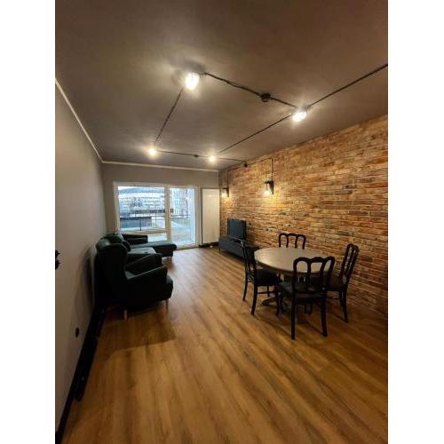 APARTAMENT z widokiem na stadion Styl Industrialny Jedyny taki CHECK IN 24 H
