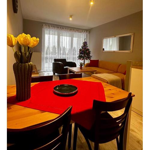 Apartament z widokiem na Szyndzielnię