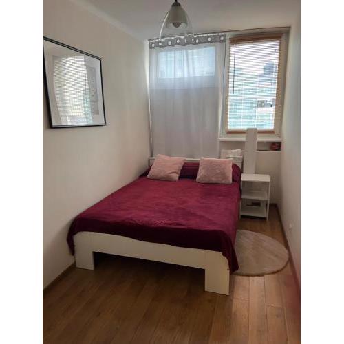 Apartament z widokiem Pereca 2