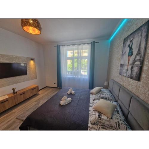 Apartament Zacisze 1