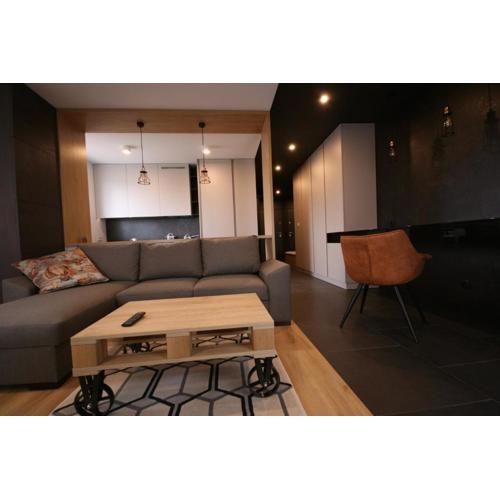 APARTAMENT ZAGNAŃSKA - Garaż
