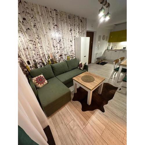 Apartament ZAKĄTEK -Szkolna 12-CENTRUM