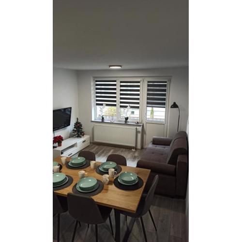 Apartament Zdrojowy II