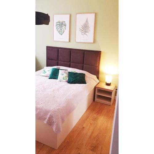 Apartament Zielony - Okrzei (Garaż, Targi)