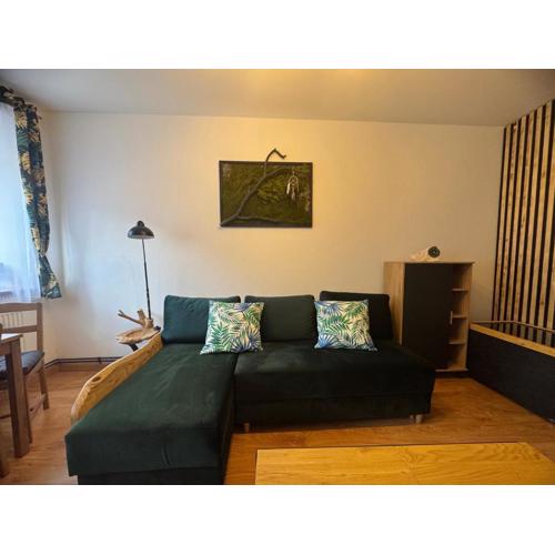 Apartament Zimowa 16