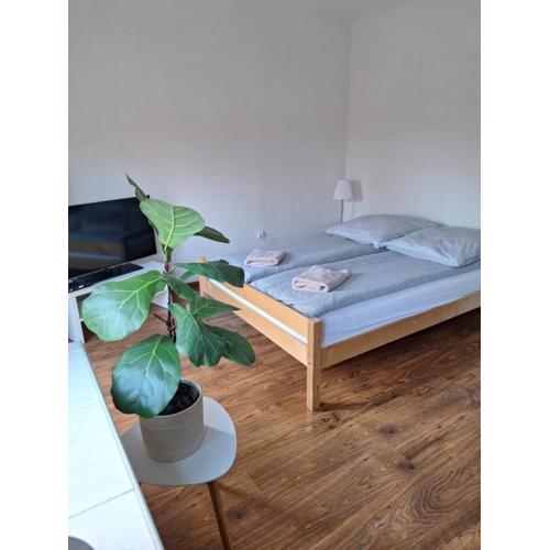 Apartament Żółkiewski