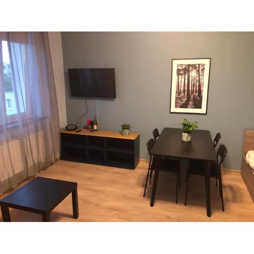 Apartament Zwirki i Wigury 38