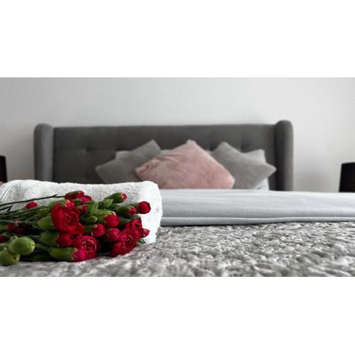 Apartaments Centrum Katowice