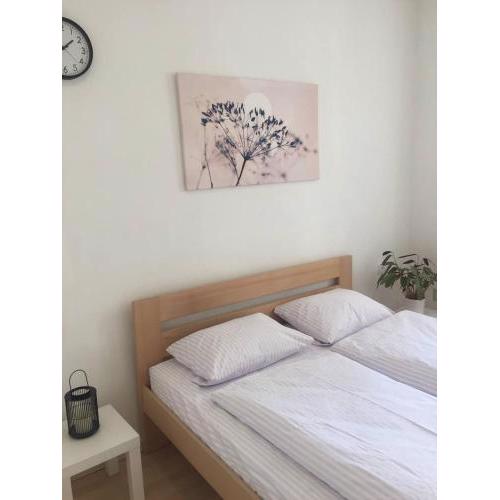 Apartaments SimSim