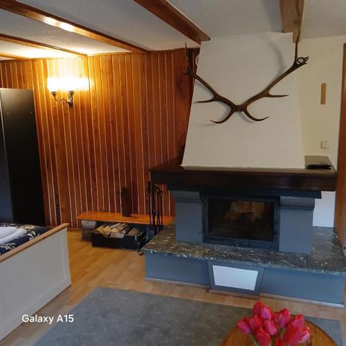 ApartamentVanessa