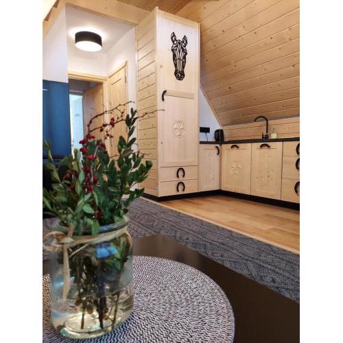 Apartamenty - Droga do Walczaków 37a