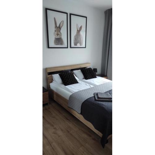 Apartamenty 77