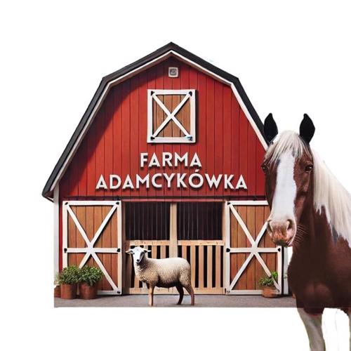 APARTAMENTY Adamcykówka blisko Velo Czorsztyn!