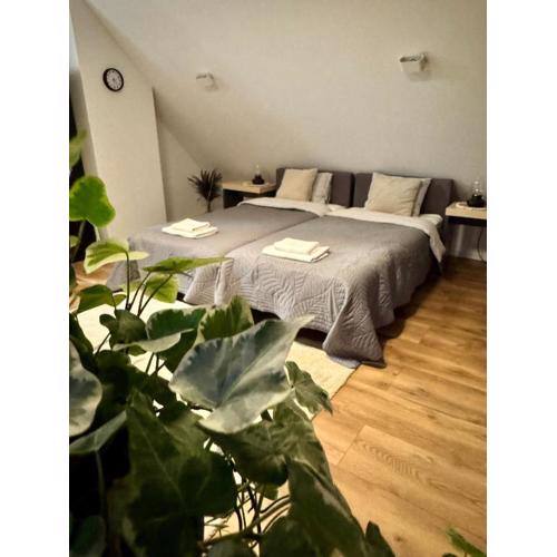 Apartamenty Astor - Księżycowy