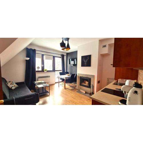 Apartamenty Bajka Białka Tatrzanska z Kuchnią tel 60806 - 4835