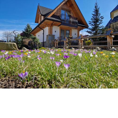 Apartamenty BENITA
