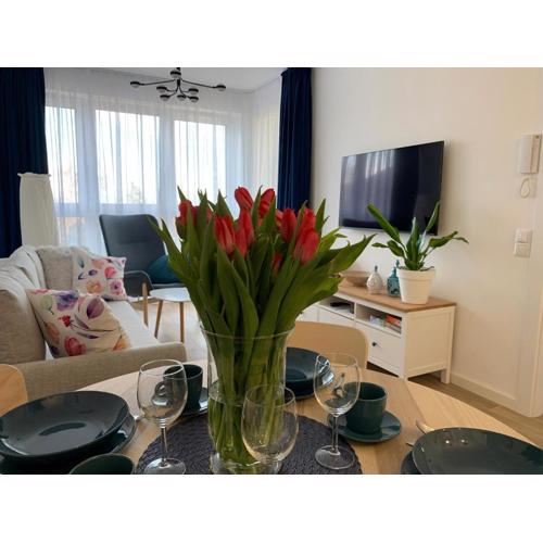 Apartamenty Bliska 33