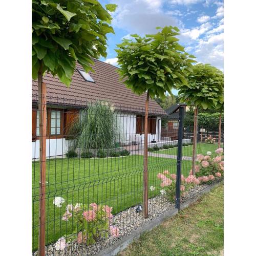 Apartamenty Buczyna w Sierakowie