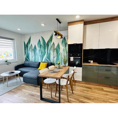 Apartamenty Dębowa 10