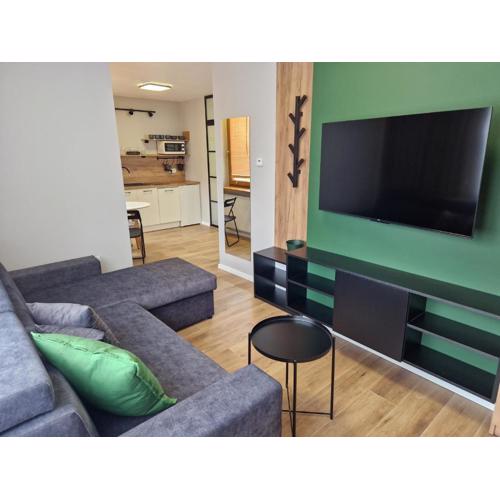 Apartamenty-Dom Pod Sosną