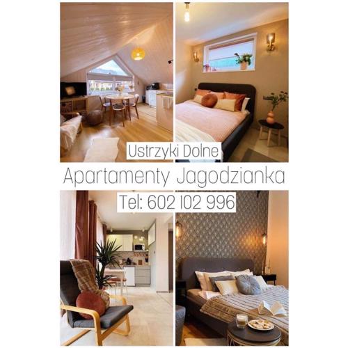 Apartamenty Jagodzianka - Jacuzzi, Sauna, Tężnia solankowa