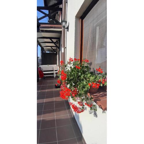 Apartamenty Kalinowa