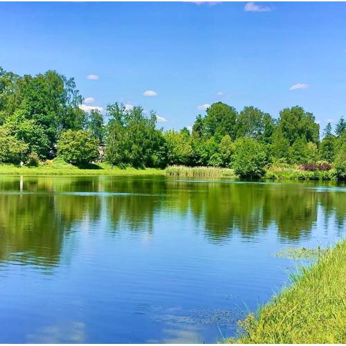 Apartamenty Kielce- APARTAMENT RUBIN przy zalew kielecki, faktura, parking, centrum