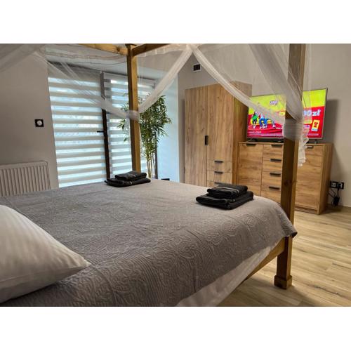 APARTAMENTY Kudowa Zdrój - Słone
