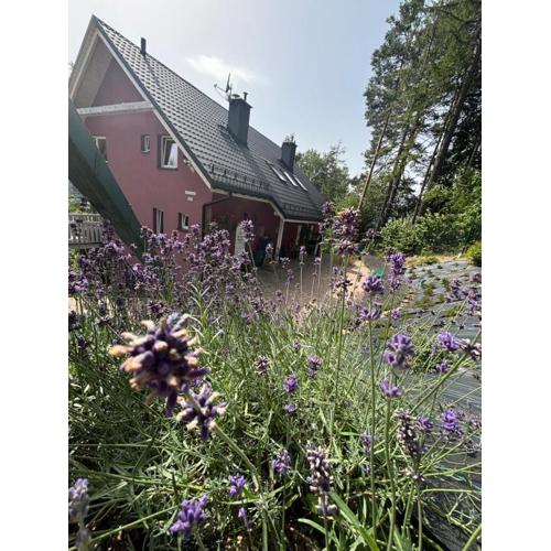 Apartamenty Lavender Hill