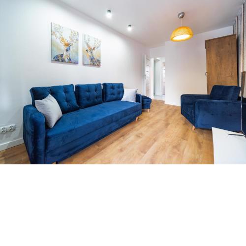 Apartamenty Lisowski CENTRUM Goszczyńskiego