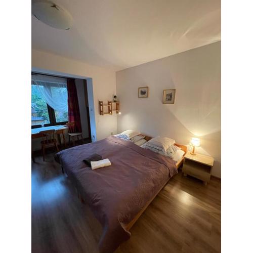 Apartamenty Maja