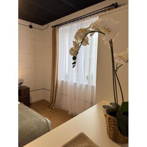 Apartamenty Miernicza