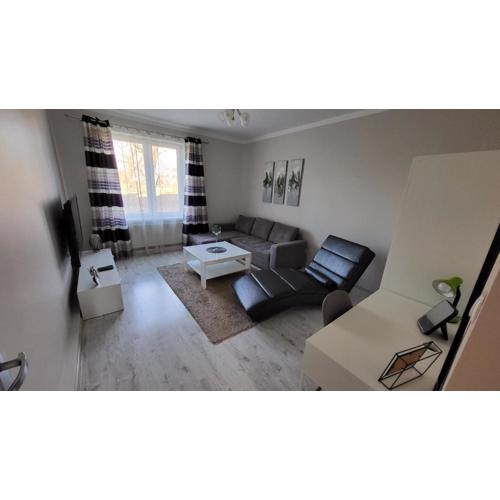 Apartamenty Motyl