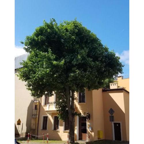 Apartamenty na Cichej 5 a4